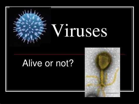 Ppt Viruses Powerpoint Presentation Free Download Id2460174