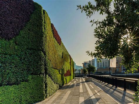Middle Easts Largest Living Green Wall Unveiled In Dubai Environment