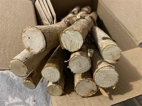 Birch Bundle Of Logs White Birch Log Set For Fireplace Etsy