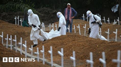 Ebola Adapted To Easily Infect People Bbc News