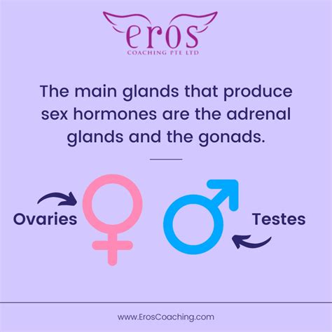 Heres What You Need To Know About Female Sex Hormones Eros Coaching