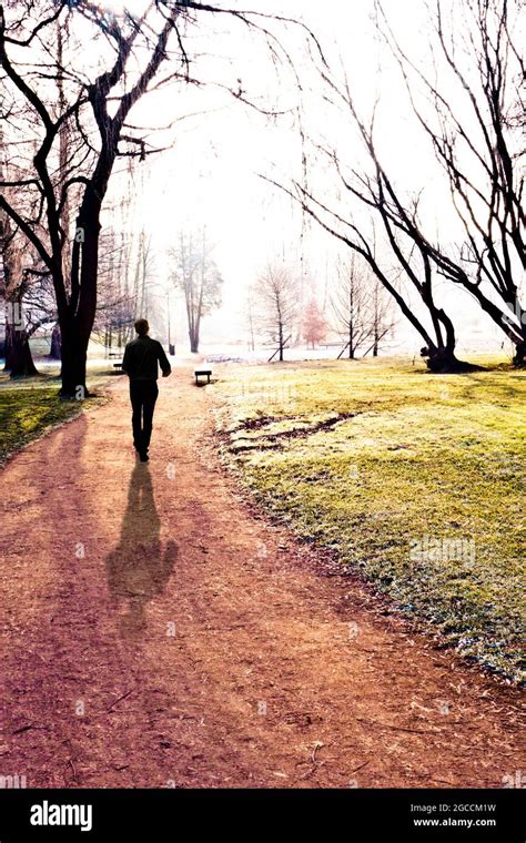 Silhouette Of A Man Walking In A Mystical Park Stock Photo Alamy