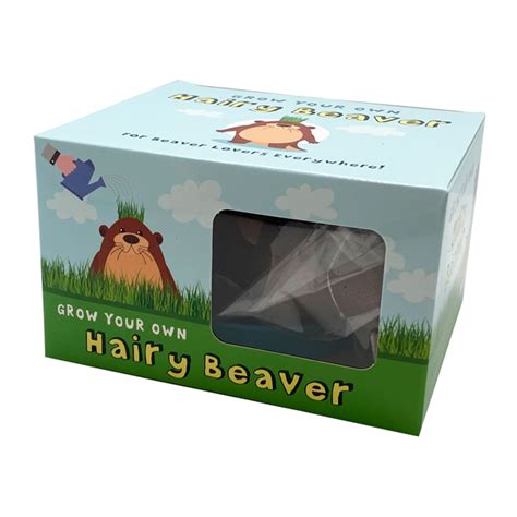 Hairy Beaver Pic Telegraph