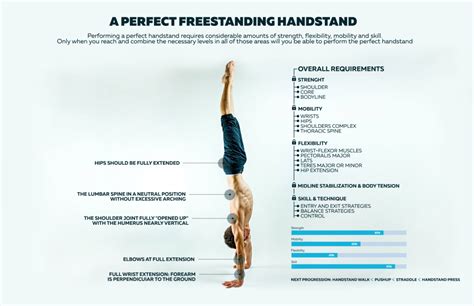 9 Reasons Why You Should Start Doing Handstand Push Up Bwta