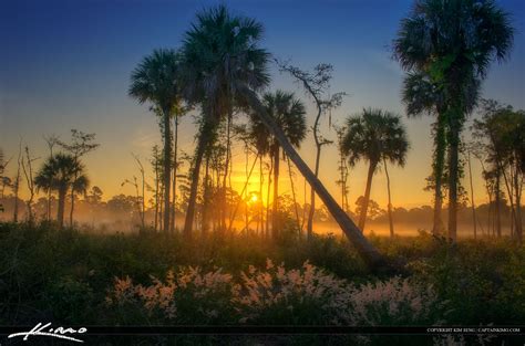 Natural Florida Landscape Foggy Morning Sunrise Hdr Photography By Captain Kimo