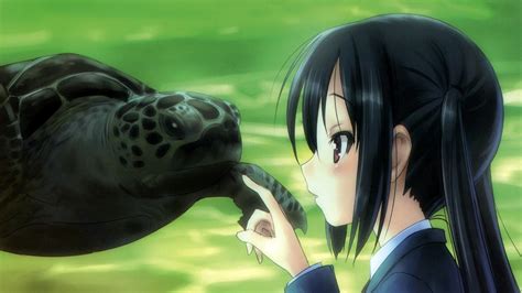 Anime Girls K On Nakano Azusa Turtle Wallpapers Hd Desktop And Mobile Backgrounds