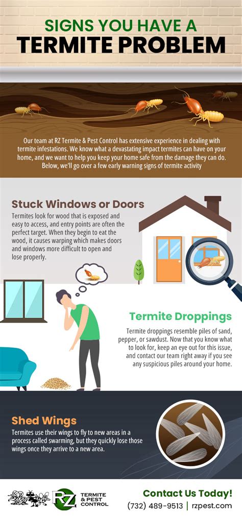 Protecting Your Property Investment With Termite Prevention Tips