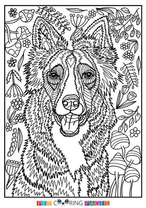 39+ mermaid adult coloring pages for printing and coloring. Free printable Border Collie coloring page available for ...