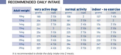 Adult Medium Entire Dogs Dog Food Royal Canin