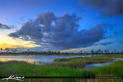 Florida Wetland Landscape Pine Glades Natural Area Sunset Royal Stock