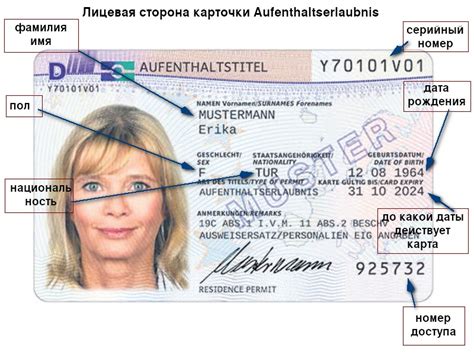 Как получить ВНЖ и ПМЖ в Германии все доступные варианты от национальной визы до гражданства