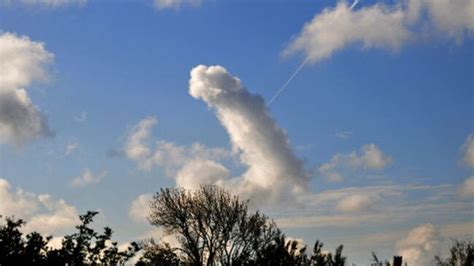 First Confirmed Sighting Of A Sky Penis Soaring Majestically Over The Northern Territory Nt News