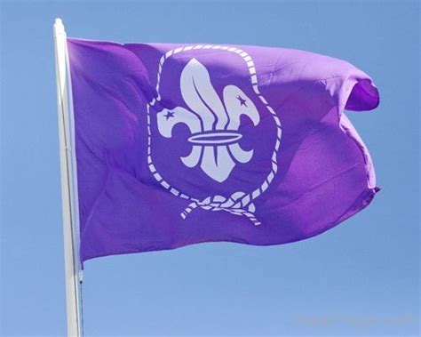 World Organization Of The Scout Movement Flag
