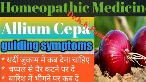 Allium Cepa 30 I Allium Cepa Homeopathic Medicine Uses Allium Cepa
