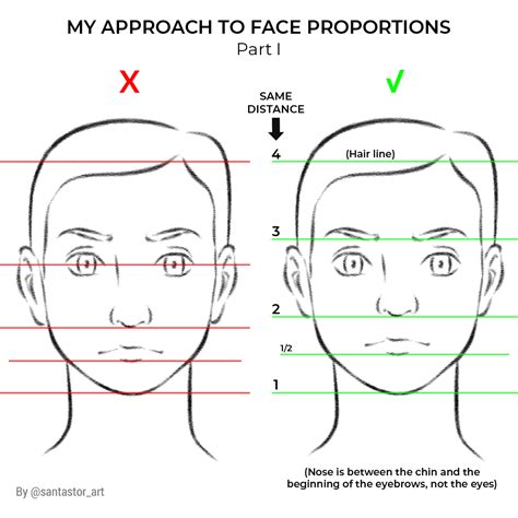 Face Proportions Part I By Santastor On Deviantart