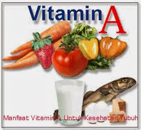 Inilah Manfaat Vitamin A Untuk Kesehatan Tubuh Info Tips Kesehatan
