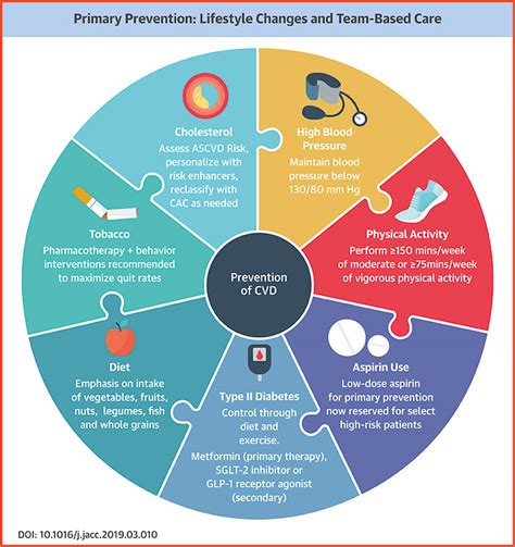 Primary Prevention Of Cvd Guideline Hub Journal Of The American