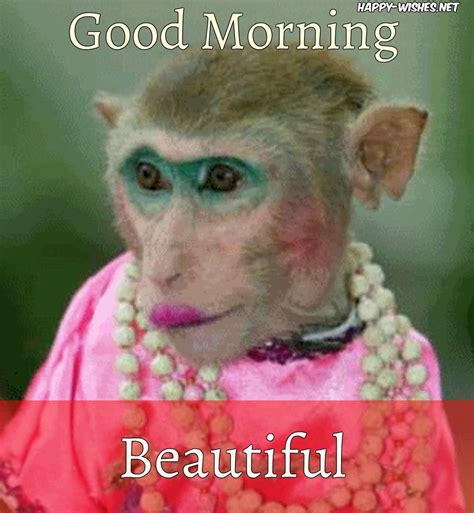 8 Good Morning Wishes With Monkey Images Funny Good Morning Memes
