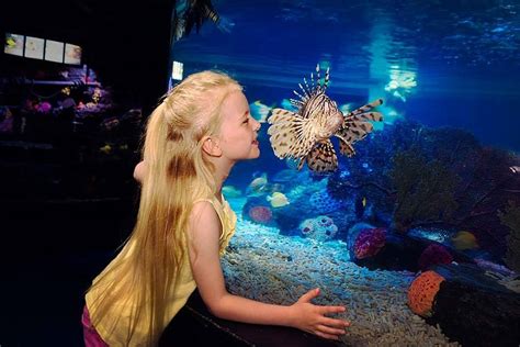Sealife Malaysia Tickets Price 2024 Promotions Online Discounts