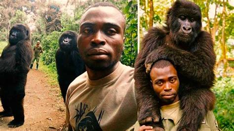 La Historia De Los Gorilas Y La Pose Que Han Hecho El Mejor Selfie Del