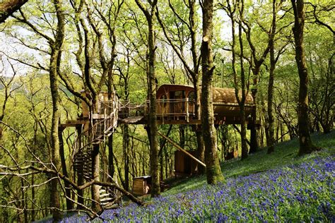 The UK's best treehouse escapes - DOSE