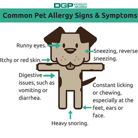 Pet Allergy Signs And Symptoms Dgp For Pets