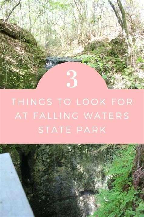 3 Things To Look For At Falling Waters State Park Finding Mandee