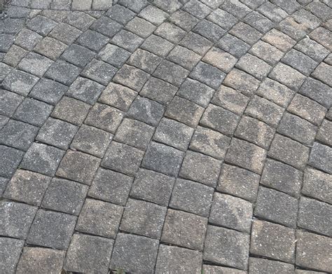 How To Remove Mildew And Mold From Paver Patio And