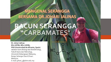 Kali ni, hawa nak share cara mudah cegah serangga perosak tanaman tanpa menggunakan racun serangga. Racun serangga jenis carbamates - YouTube