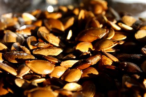 Toasted Pumpkin Seeds Picture Free Photograph Photos Public Domain