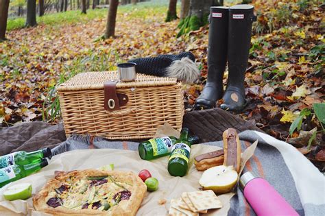 Winter Picnic In The Woods Dalry Rose Blog