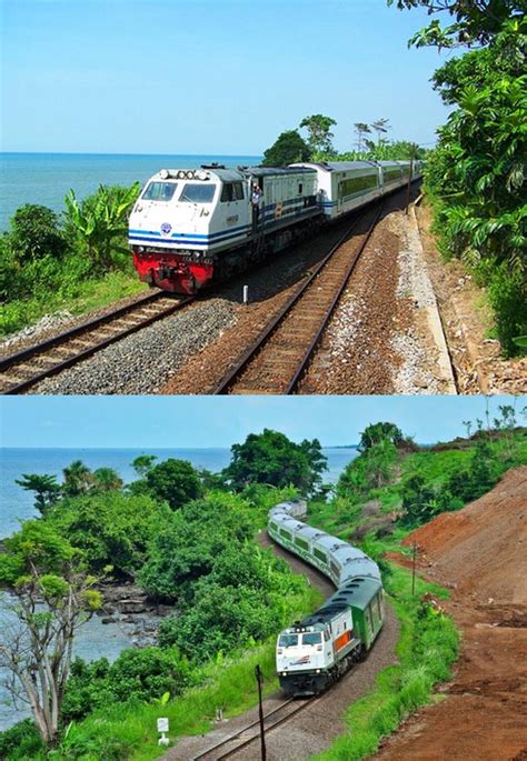 Sudah pernah naik kereta api argo bromo anggrek luxury belum? Paling Keren 27+ Gambar Anggrek Laut - Gambar Bunga Indah