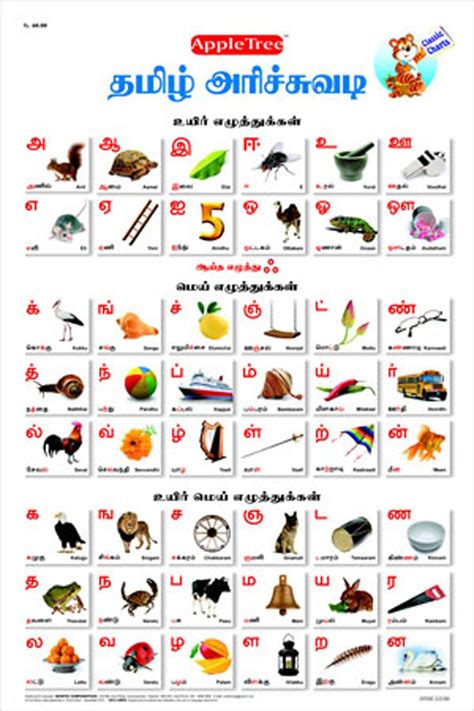 Prototypical Tamil Alphabet Chart Tamil Alphabet Images Tamil Alphabet