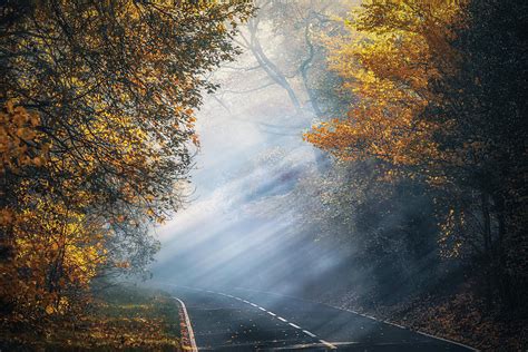 The Foggy Autumn Road No 3 Photograph By Chris Fletcher