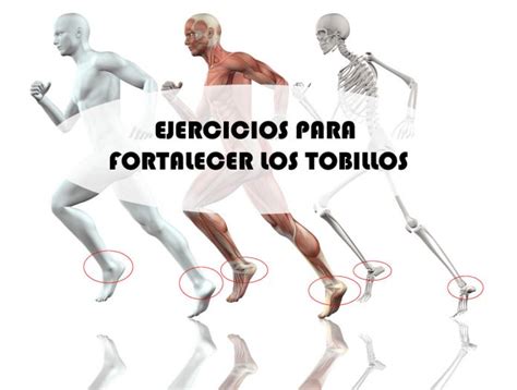 Ejercicios Para Fortalecimiento Y Prevenci N De Lesiones En Los Tobillos