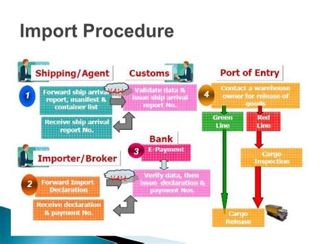 Import And Import Procedures
