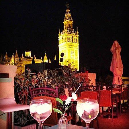 We did not find results for: Una terraza mágica: fotografía de Hotel Palacio Alcazar ...