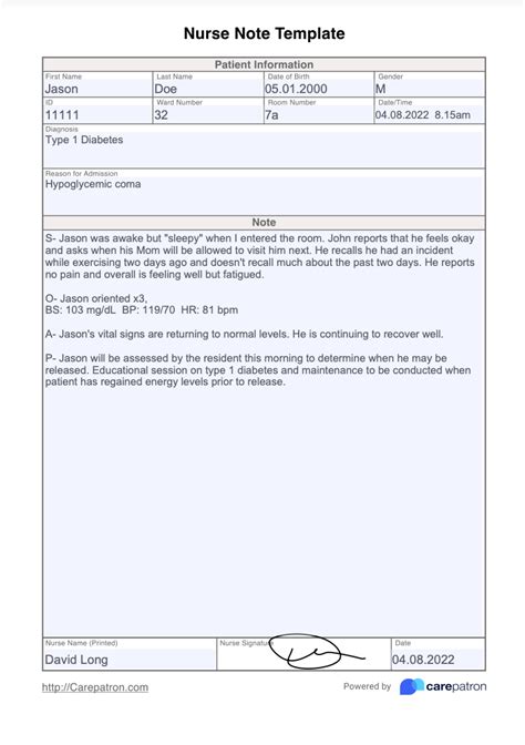 Nurse Note Template And Example Free Pdf Download