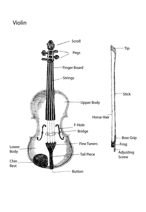 Parts Of The Violin Tracie Noles Ross Violin Lessons Violin Quotes