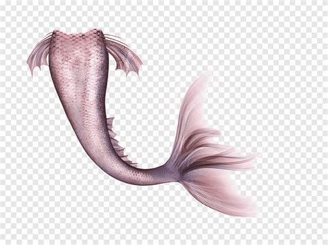 Gray Mermaid Tail Illustration Mermaid Legendary Creature Fairy Tail