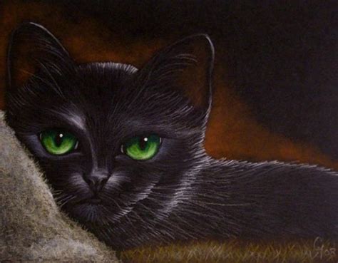 Black Cat Katze Green Eyes By Cyra R Cancel From