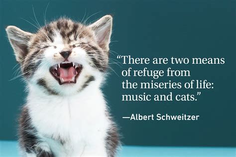 Cat Quotes Every Cat Owner Can Appreciate Readers Digest Canada