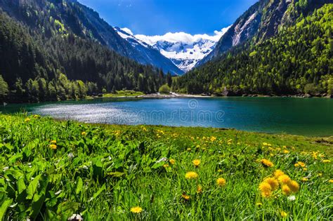 Amazing Mountain Landscape With Lake And Meadow Flowers In