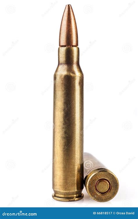 Two Rifle Bullets Stock Image Image Of Kill Armed Closeup 66818517