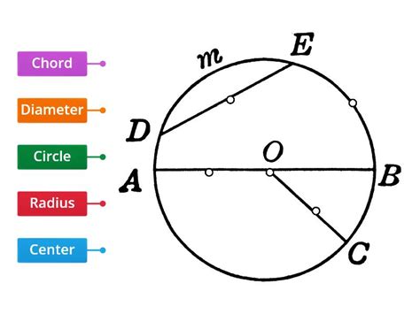 Parts Of Circle Labelled Diagram