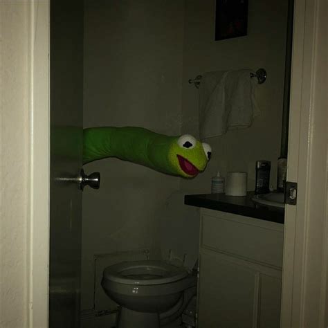 Snake Kermit Keeper Of The Piss Chamber Rbossfight