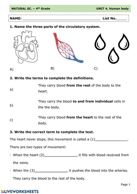 During this unit, the students will develop an. Circulatory system interactive and downloadable worksheet ...