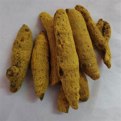 Dried Turmeric Finger At Rs 120 Kg Dindigul ID 2849901538162