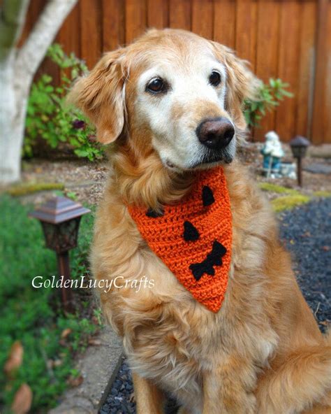 Jack Olantern Pumpkin Face Crochet Dog Bandana