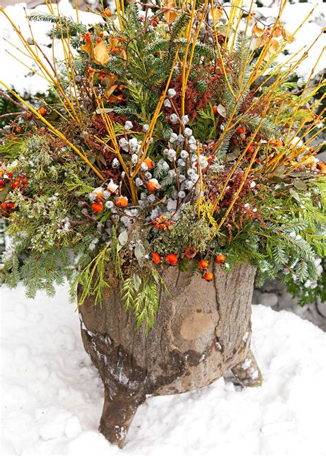 14 Cheerful Winter Container Gardens Winter Planter Winter Container